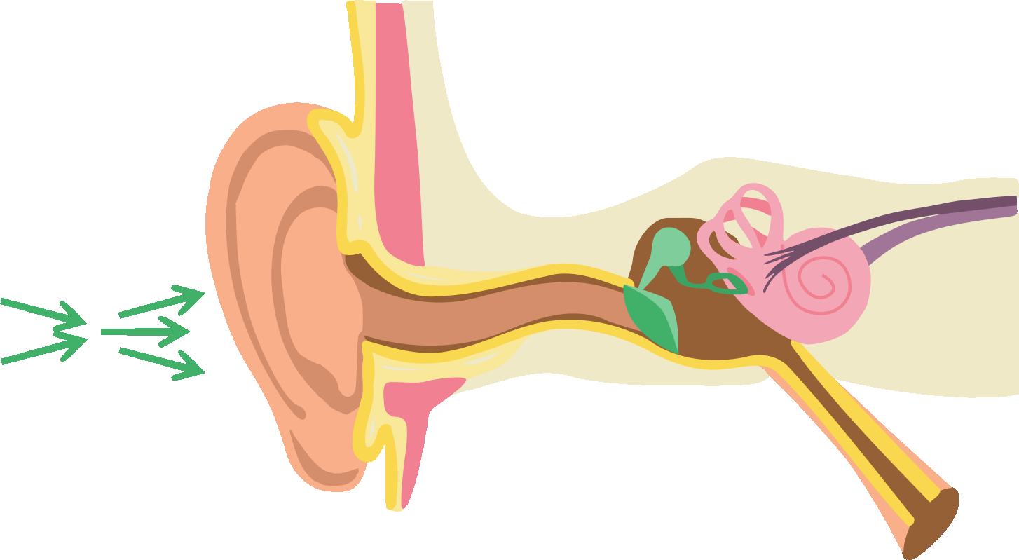 Signal domain illustration